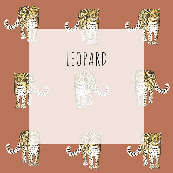 Collectie Leopard